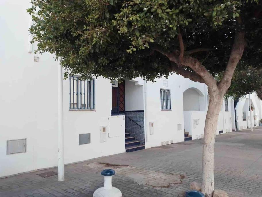 El Playaiso De San José